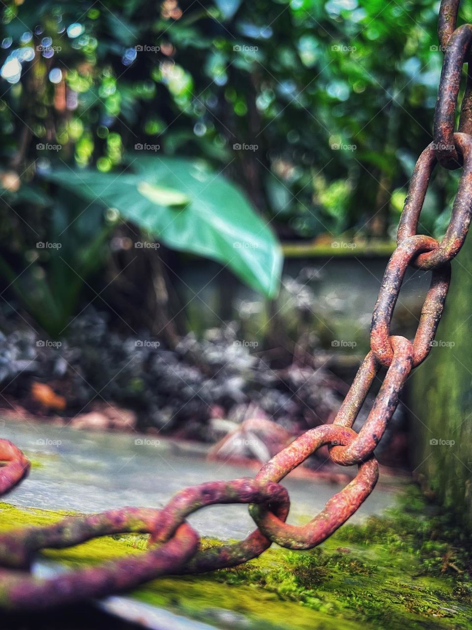 Chain