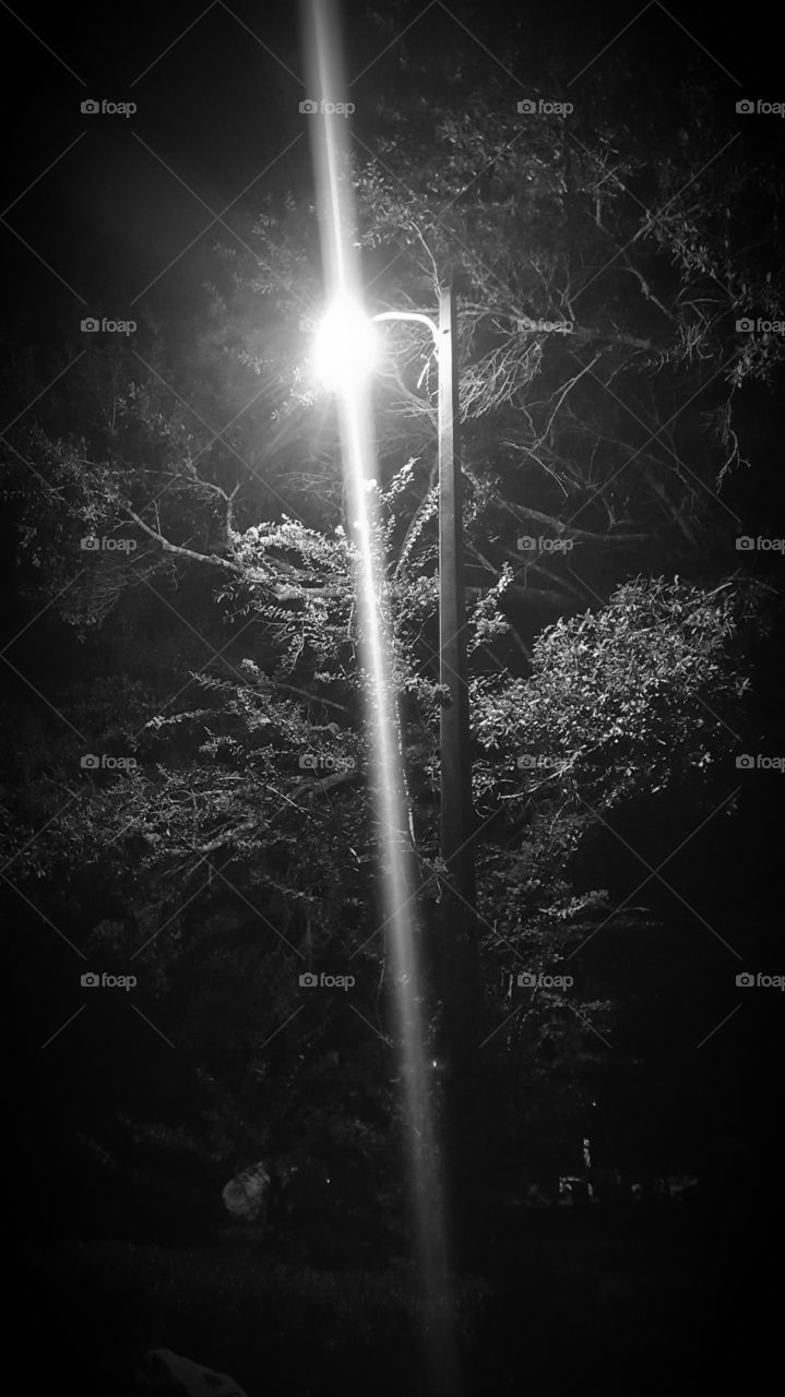 street light grayscale