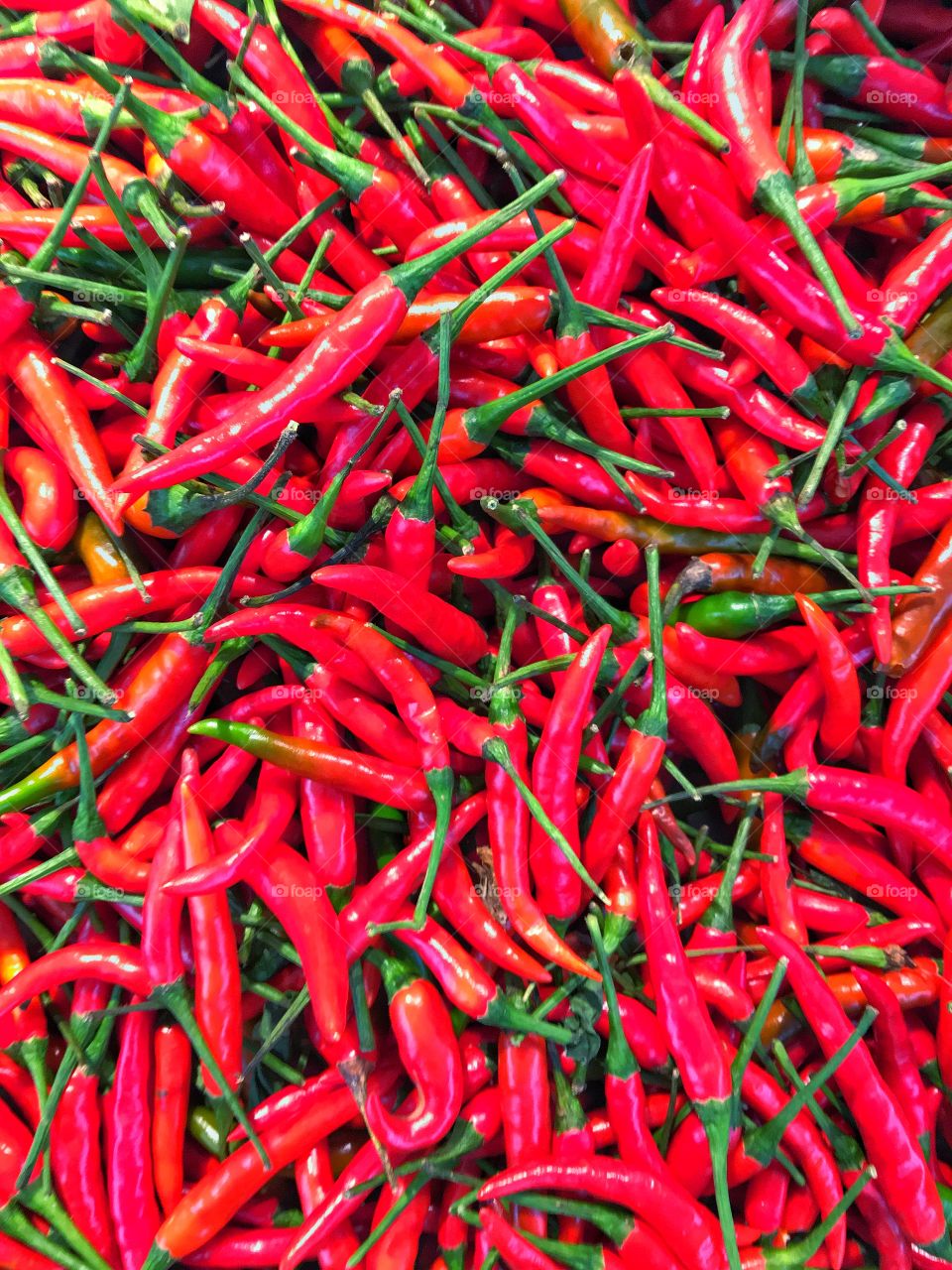Red chilli background 