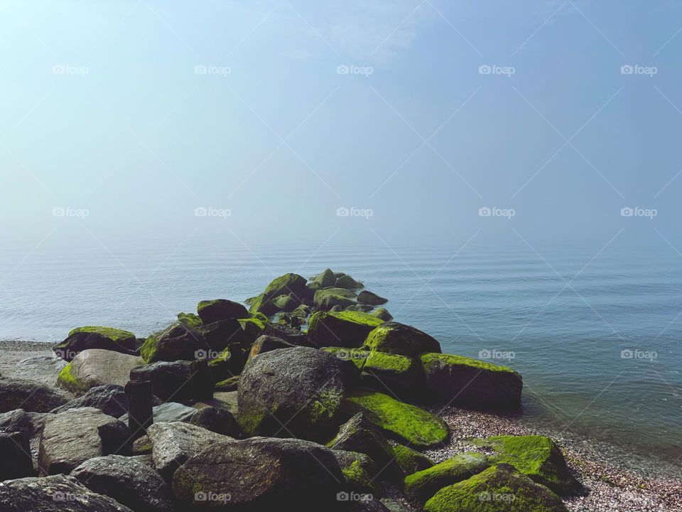 Fog over the sea and seaweed on rocks 