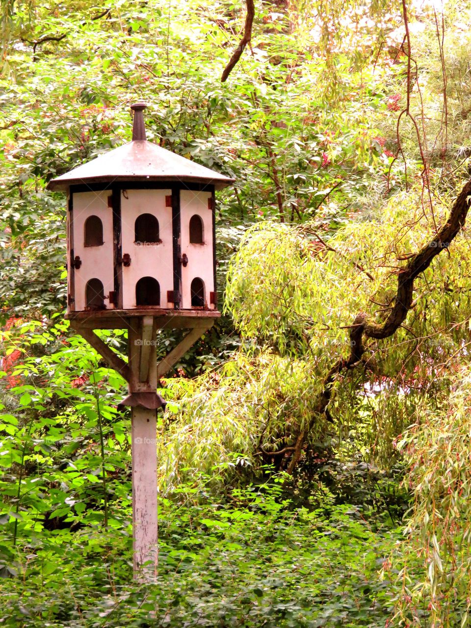 dovecote