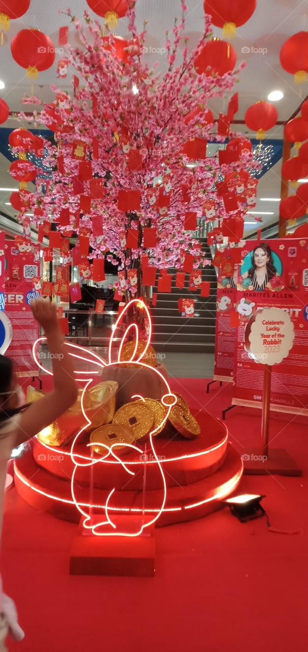 Rabbit in many areas of the world, a part of daily life—as food, clothing, a companion, and a source of artistic inspiration. And this year Chinese Horoscope is Year of the Rabbit - represents peaceful and patient energy.