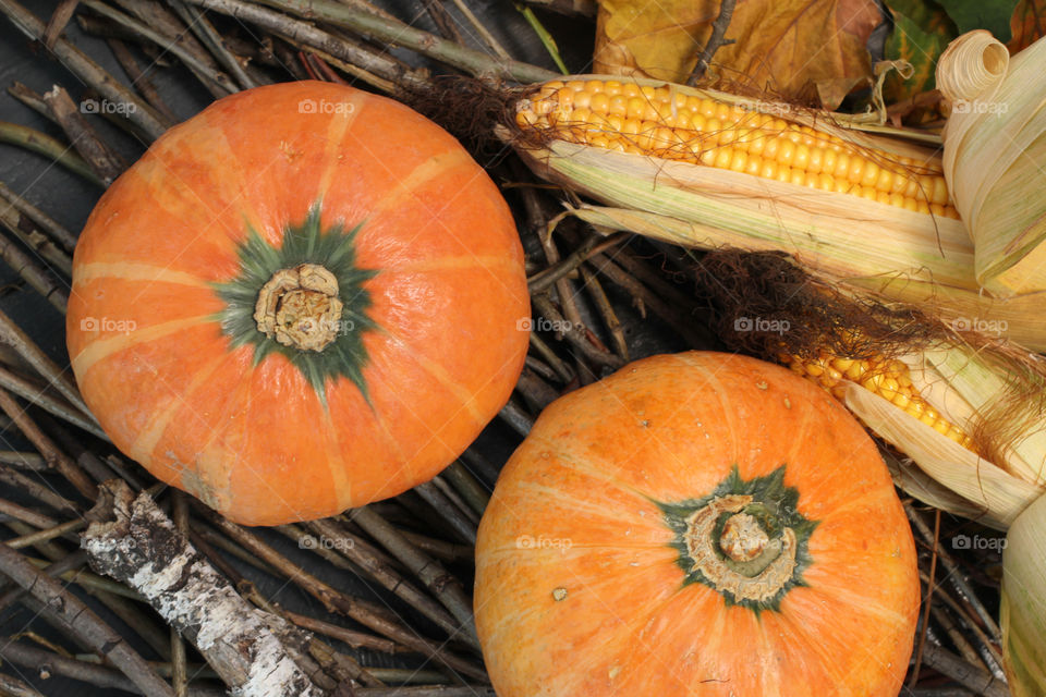 High angle view of pumpkins and corn