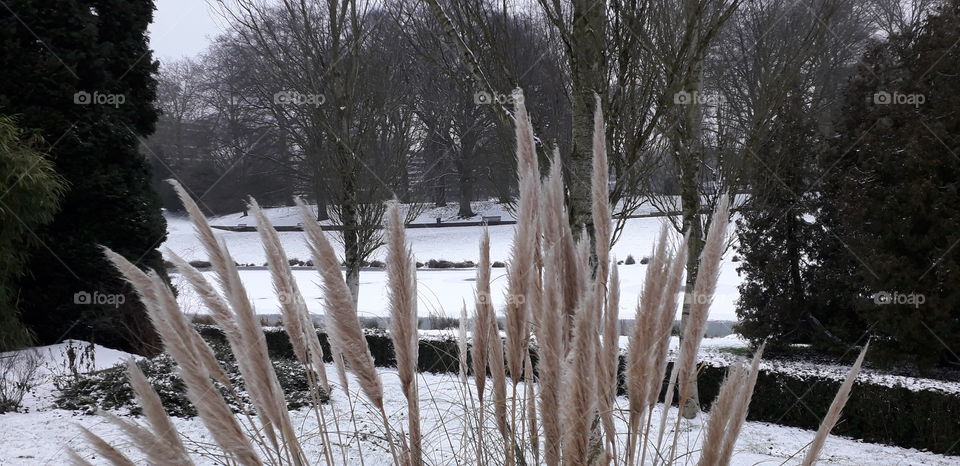 plumeau du parc Barbieux