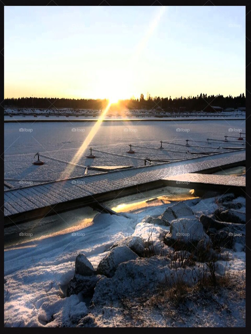 sunlight in frozen marina