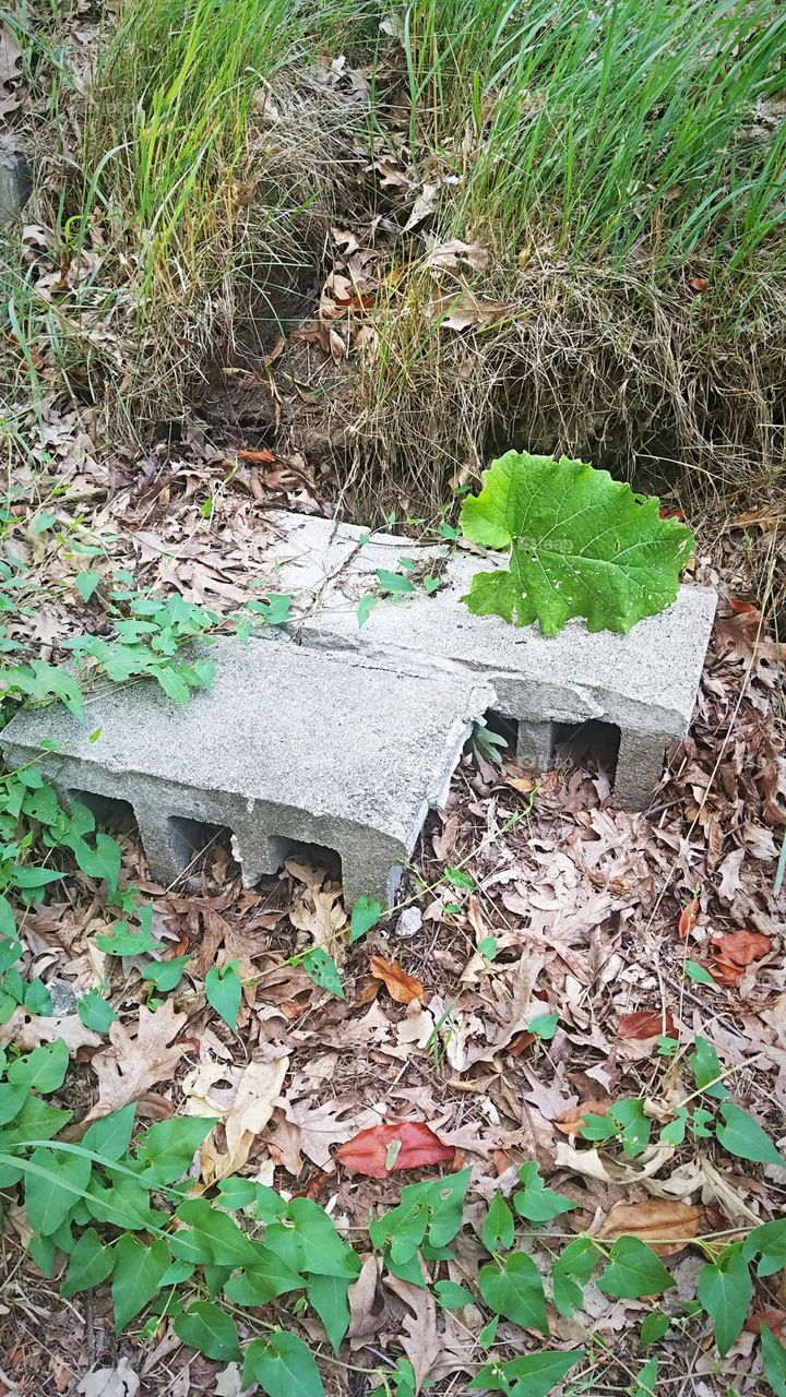 old concrete blocks