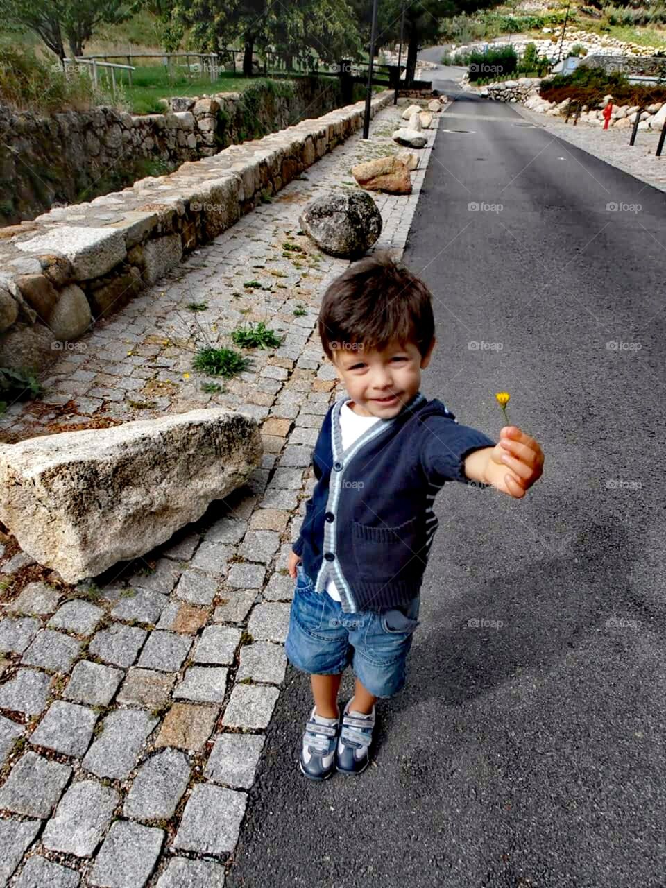 Boy giving one flower