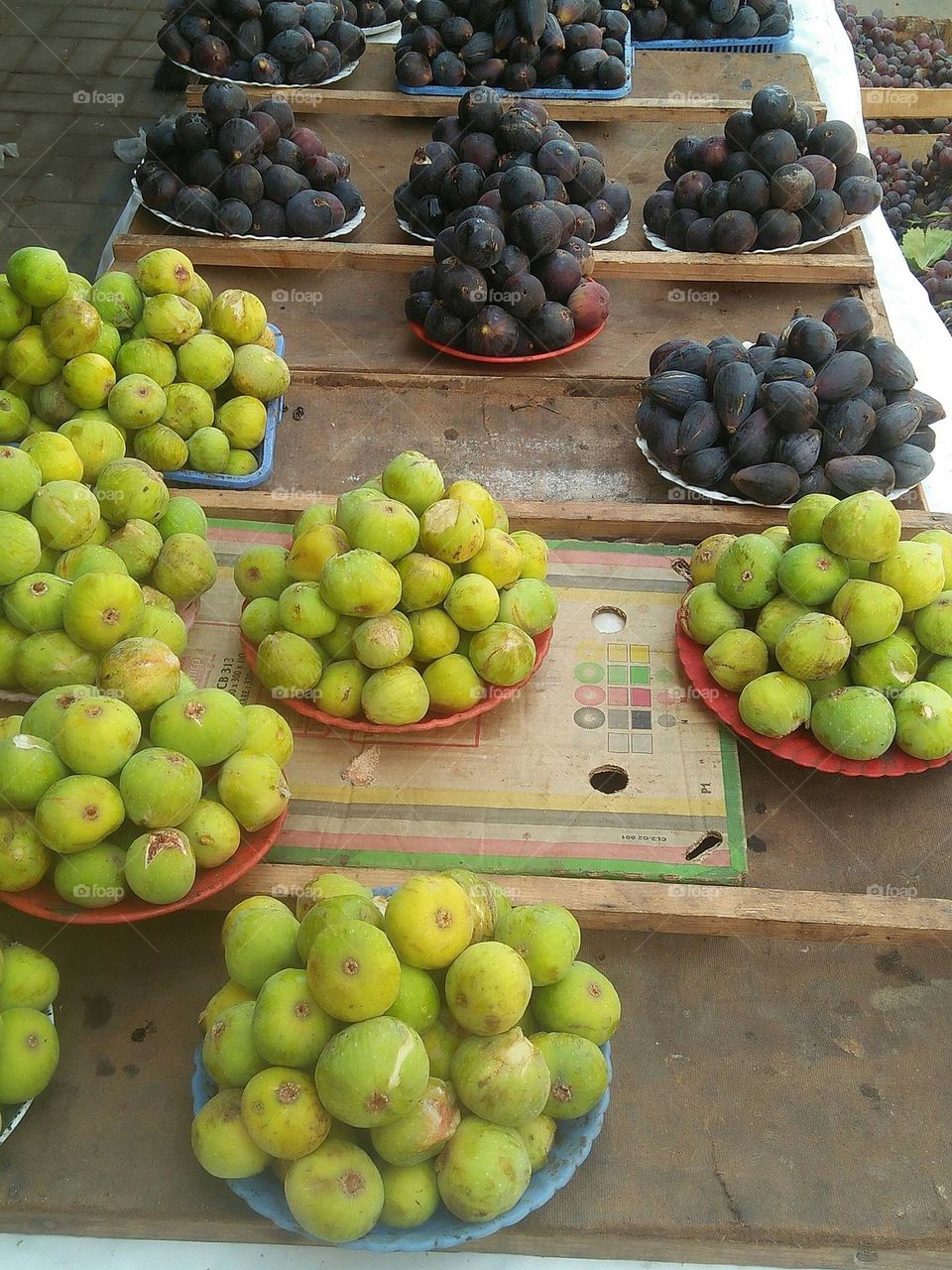 Fig fruits