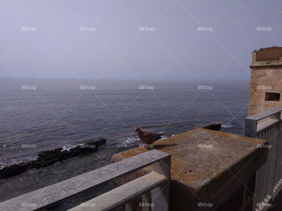 Editors' Choice: Photo of the Week