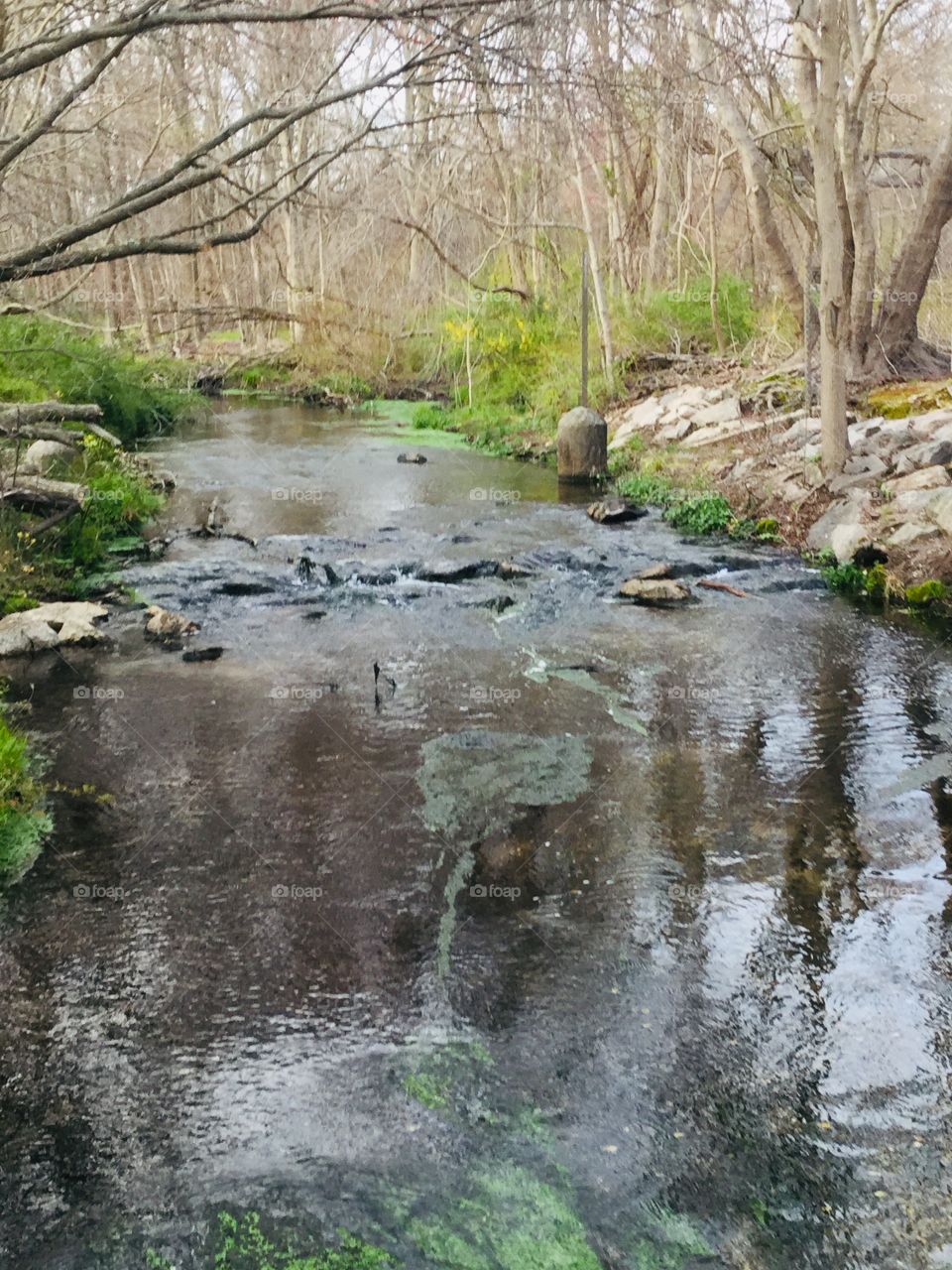 Running stream in the spring