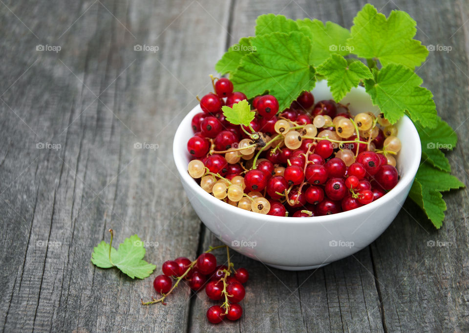 Red currant 