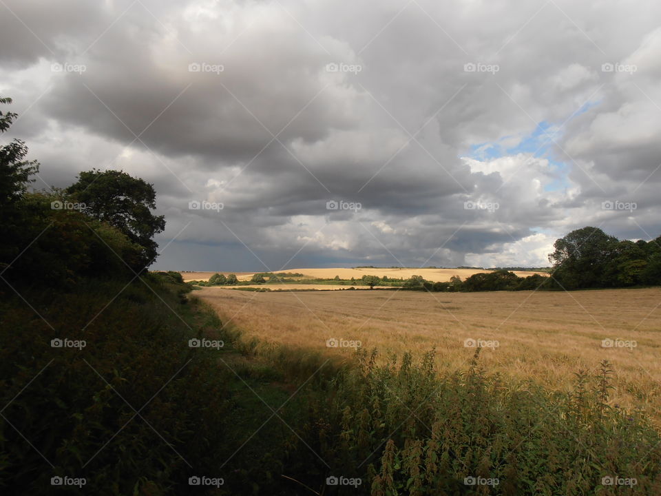 Stormy Summer Sky