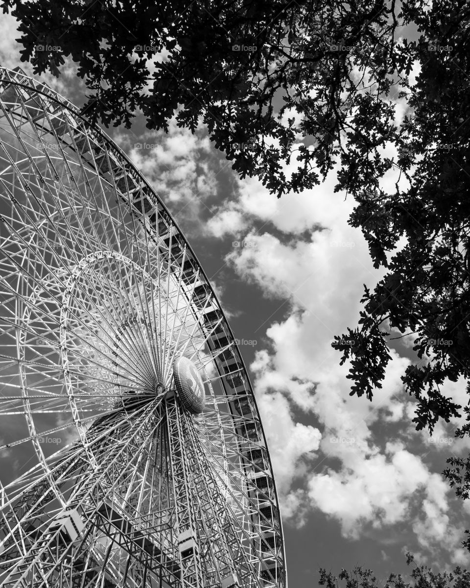 B & W ferris wheel