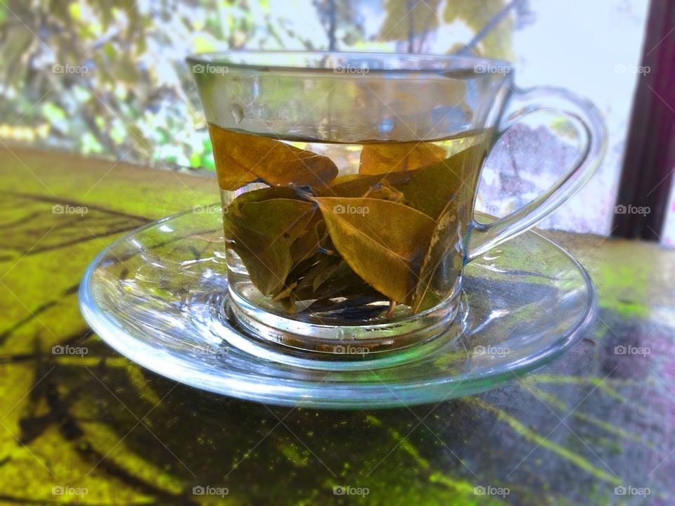 Coca Tea in La Paz Bolivia 