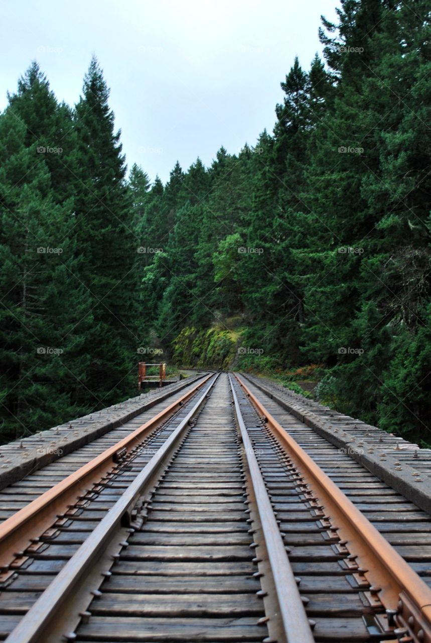 Stand By Me Moment, Railroad Bridge in the Forest, BC Canada 
