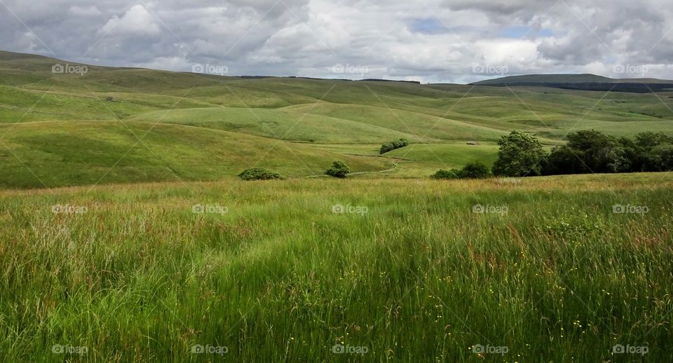 Scenics view of nature