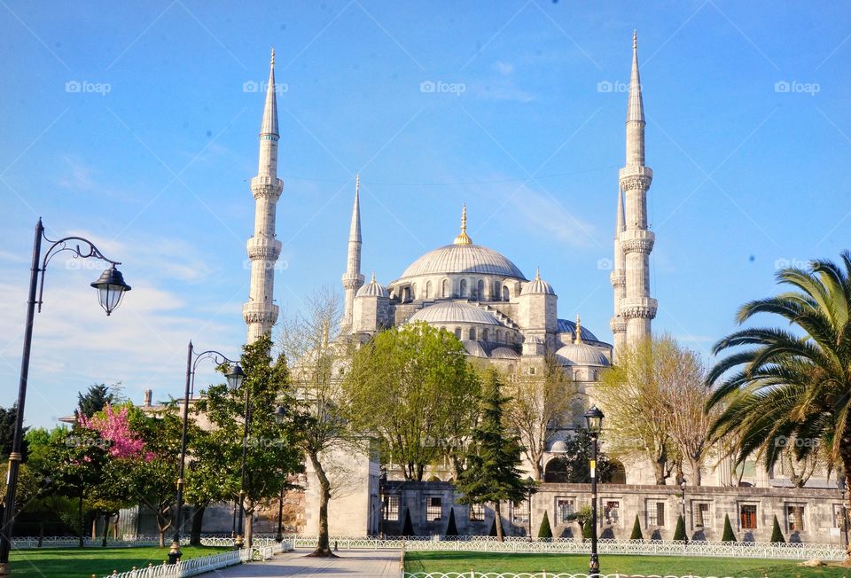 blue mosque turkey
