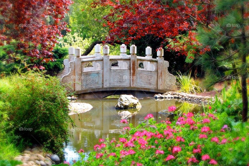 Garden bridge in San Francisco. Garden bridge in San Francisco