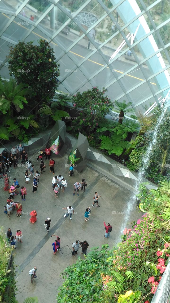 Singapore's garden.