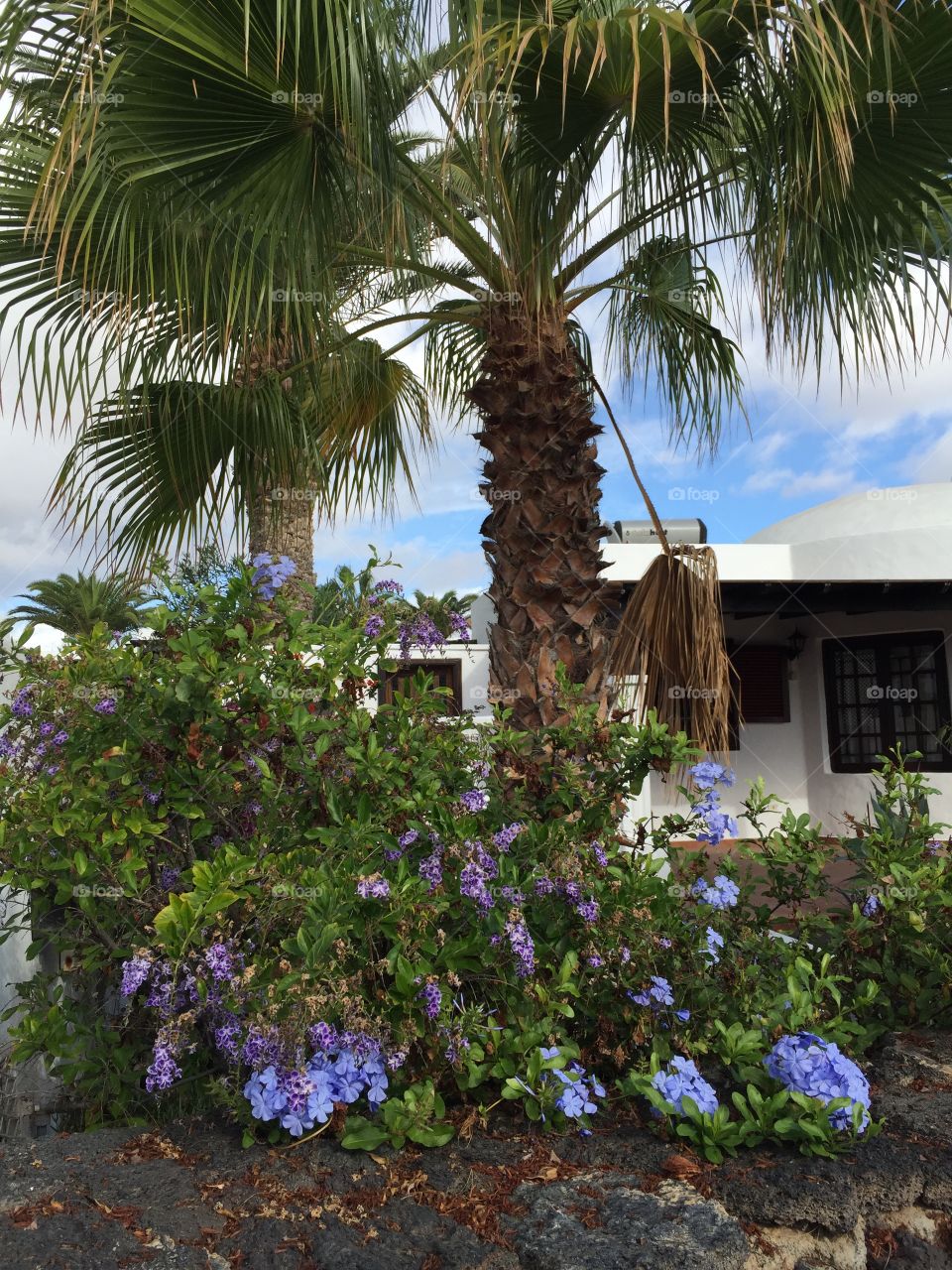 Océano Atlántico Islas Canarias 🇮🇨 