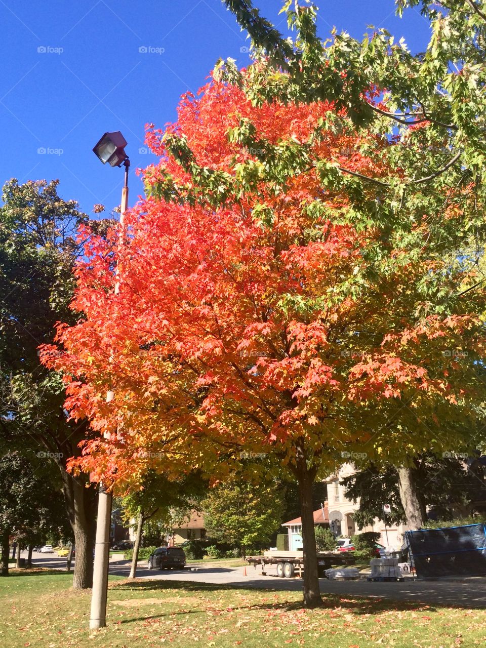 Beautiful Autumn ,Canada