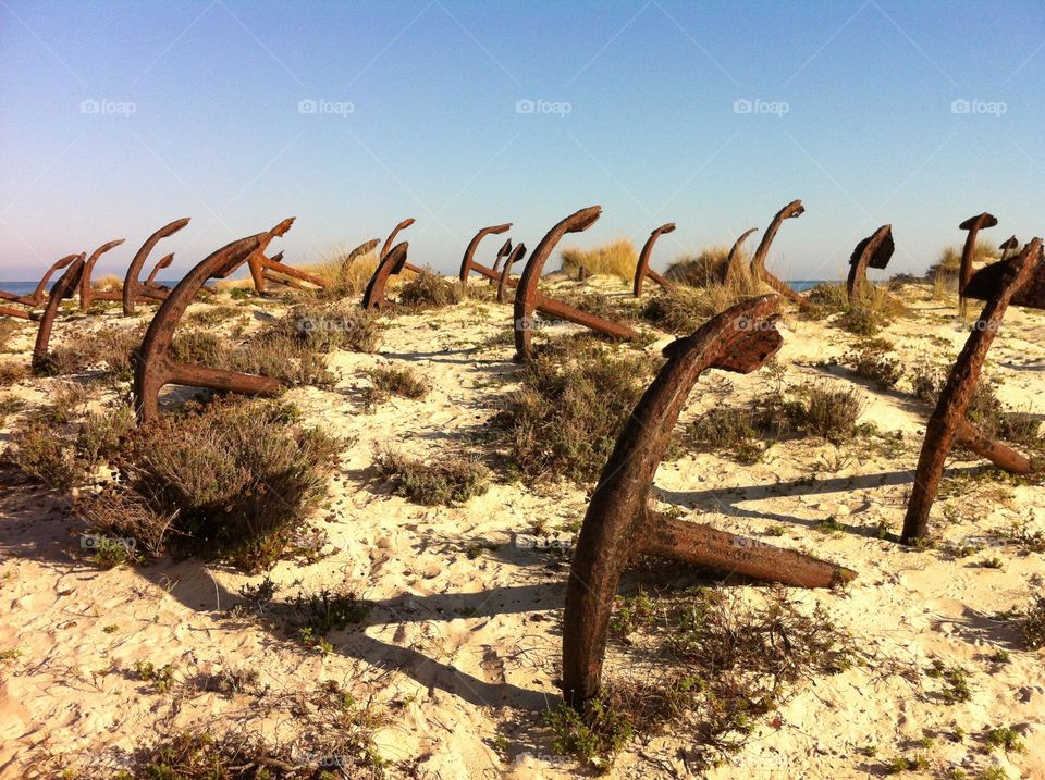 Beach anchors 