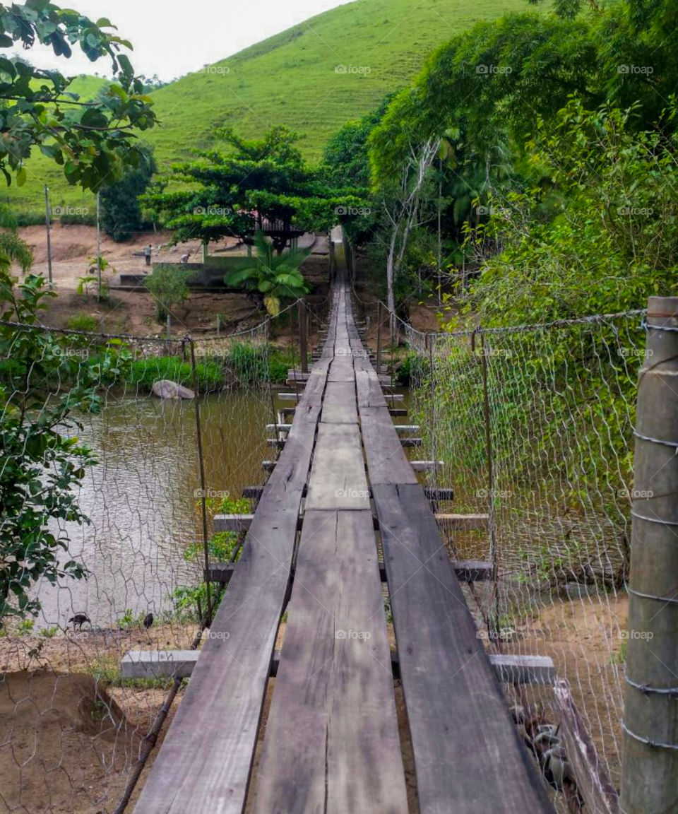 Wooden bridge over stream.
Ponte de Madeira sobre riacho.