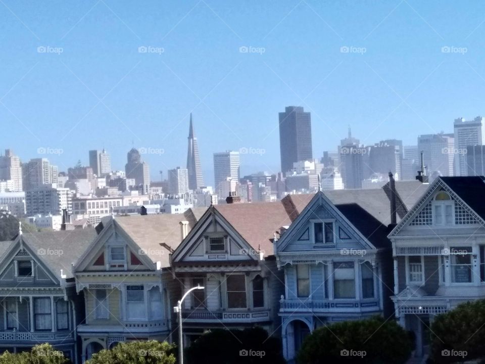 Sans Francisco