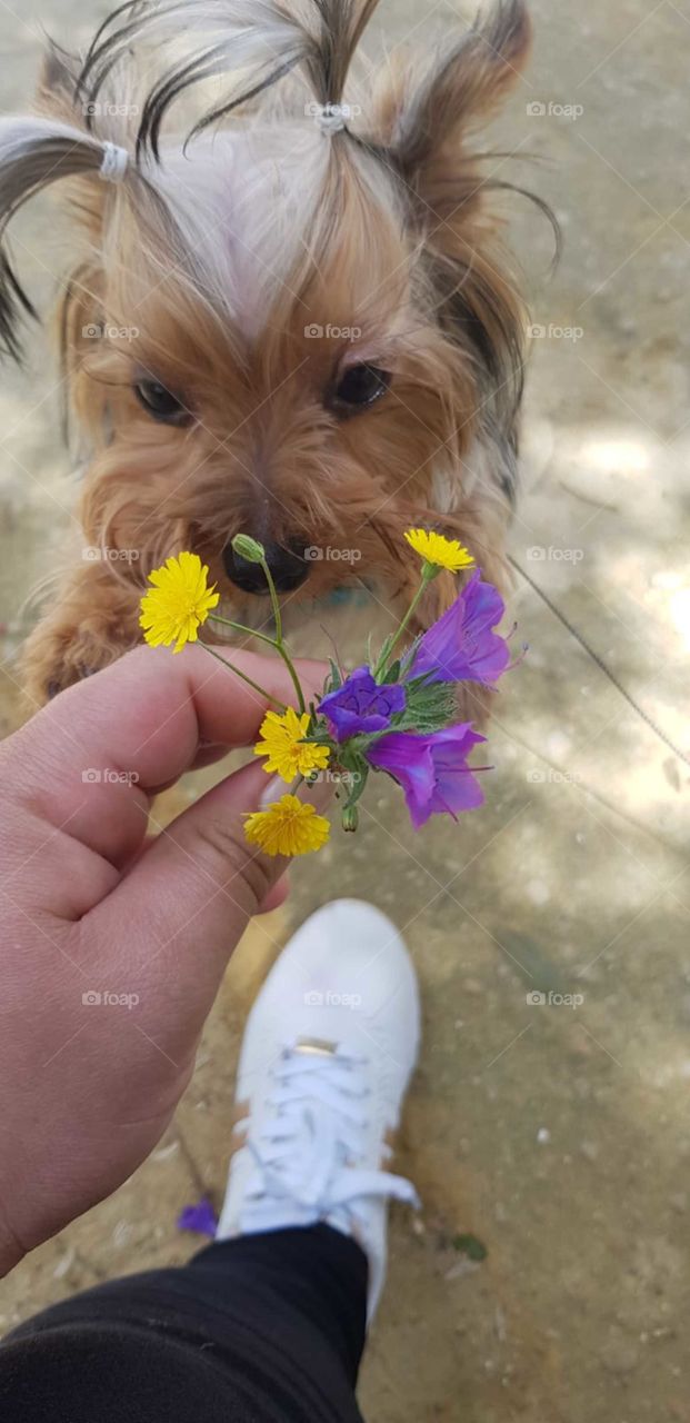 mae ama de mas  esse boneca