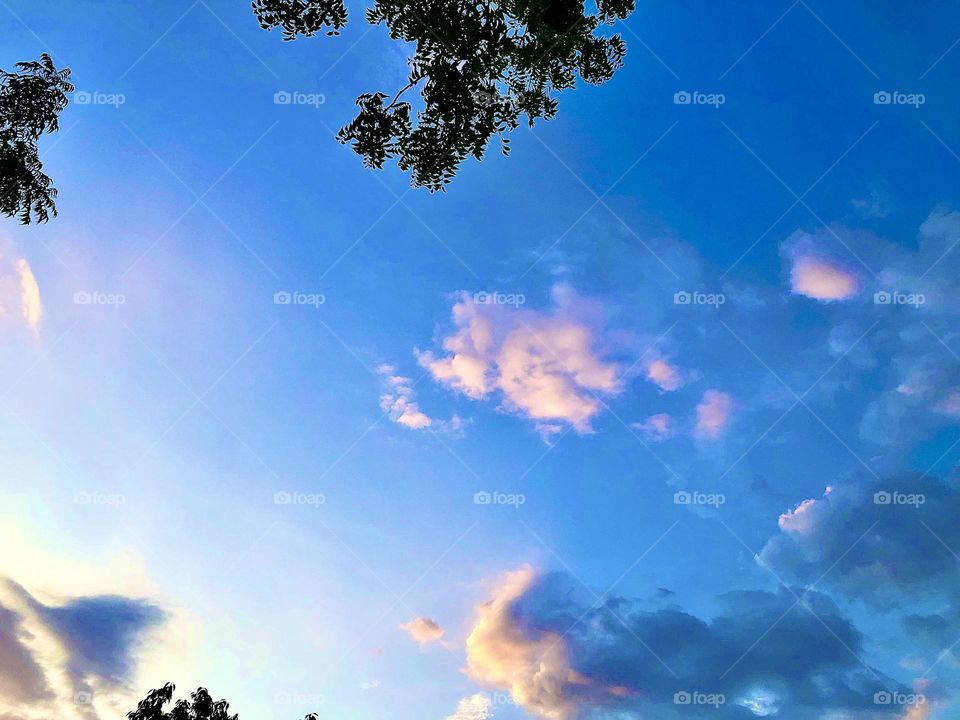 Upload the photo of the month