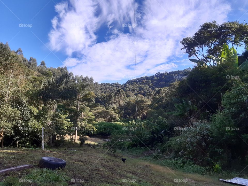 Isolamento social em um lugar assim, em contato com a natureza, é revigorante