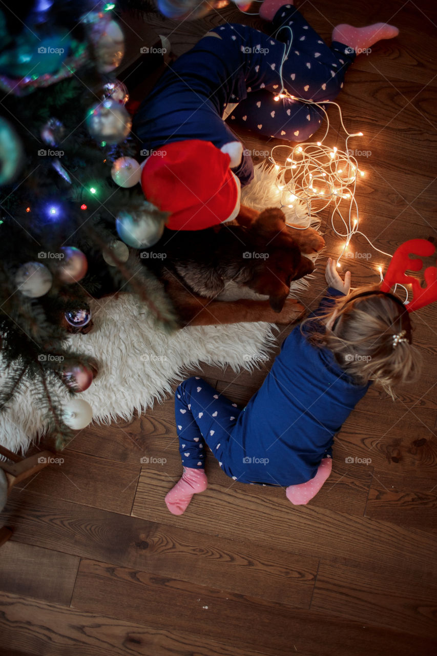 Little sisters with the puppy near Christmas tree