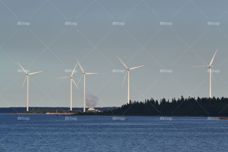 windmills