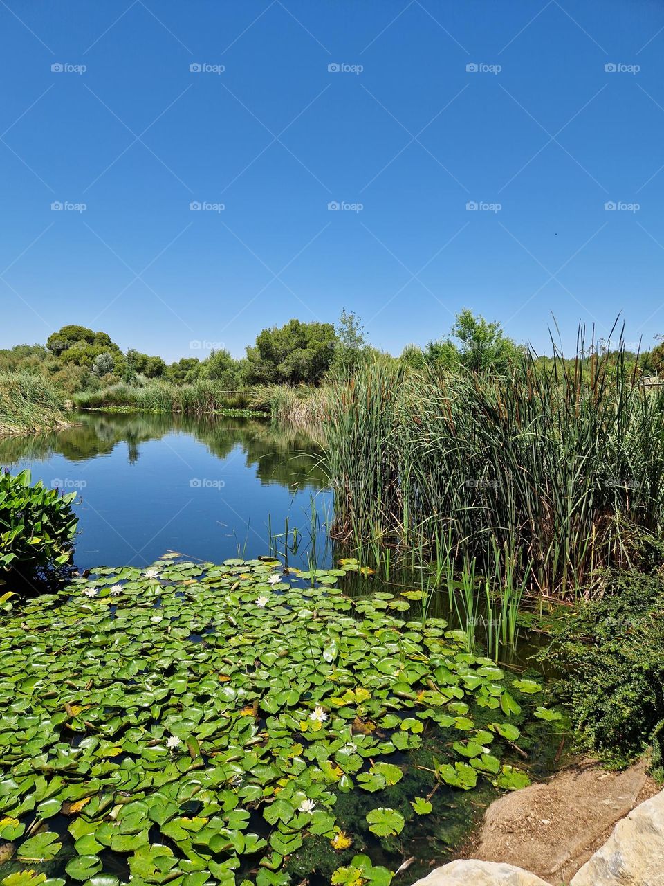 lake scene in spain