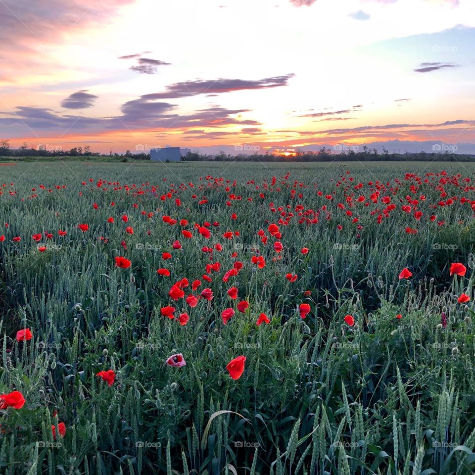 Красивый закат