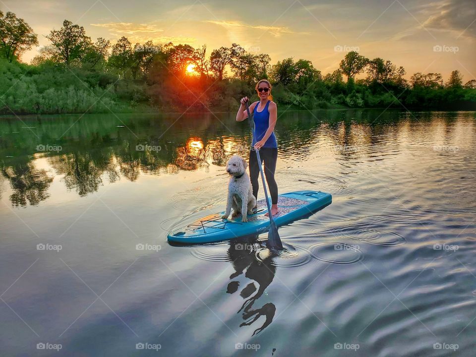 sunset paddleboard with dog