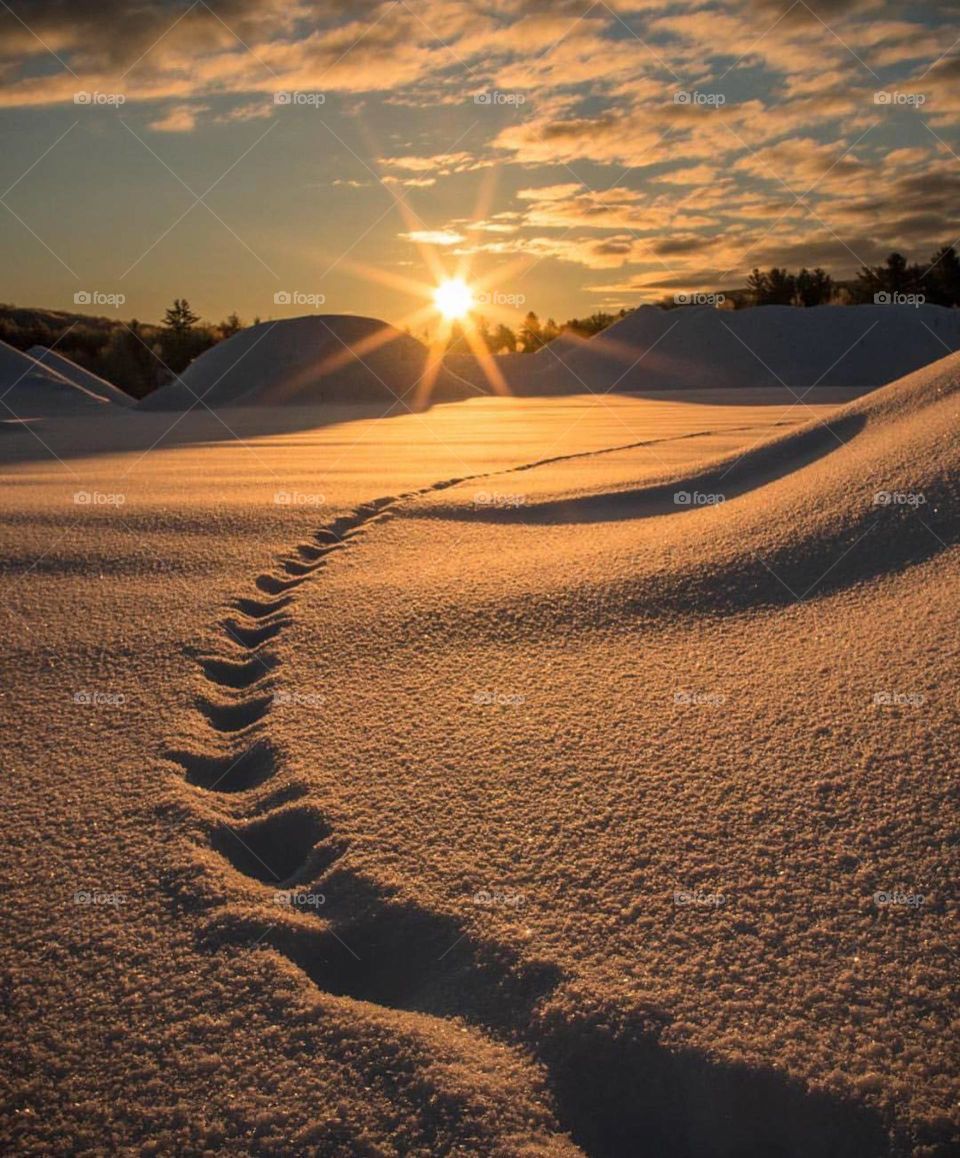 sun set  | over the sand hills