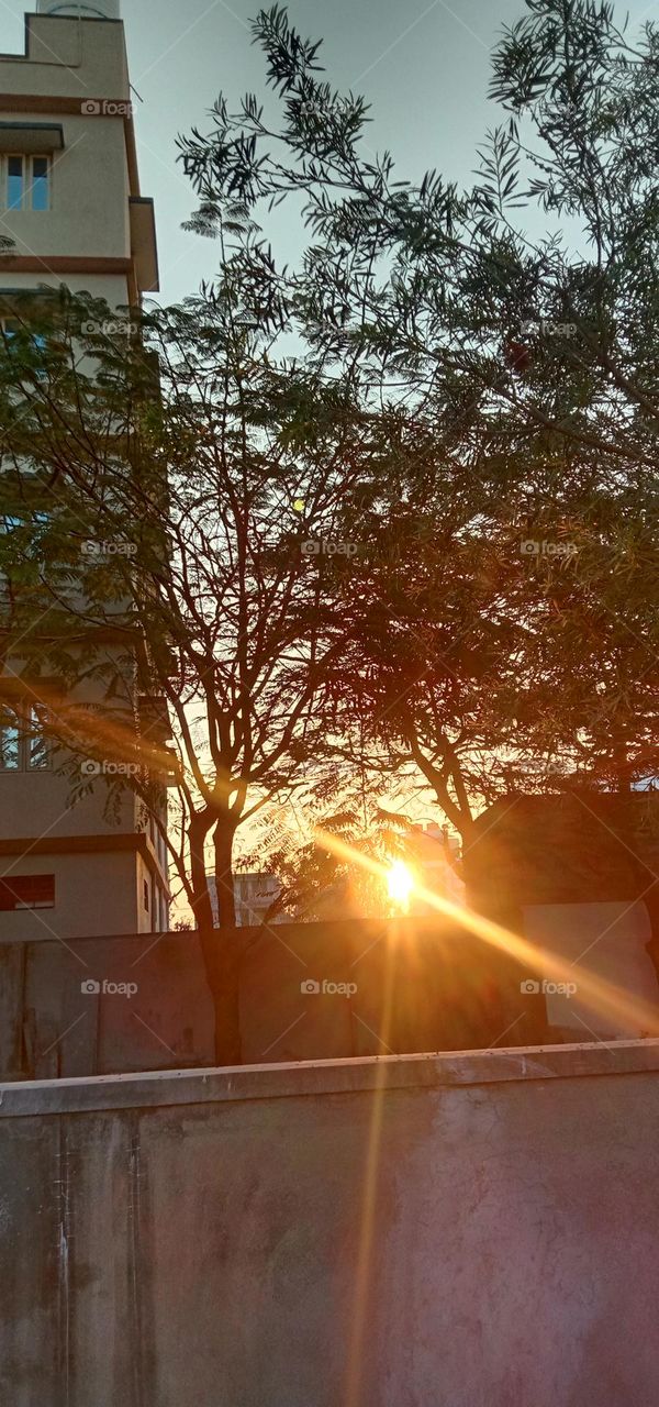 rays of hope on a new day 🌻♥️