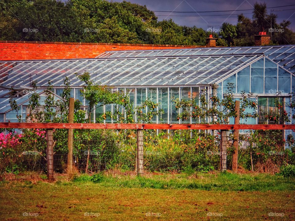 Farm. Greenhouses