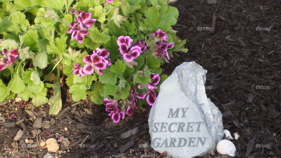 Secret Garden. Found this on a summer photo walk