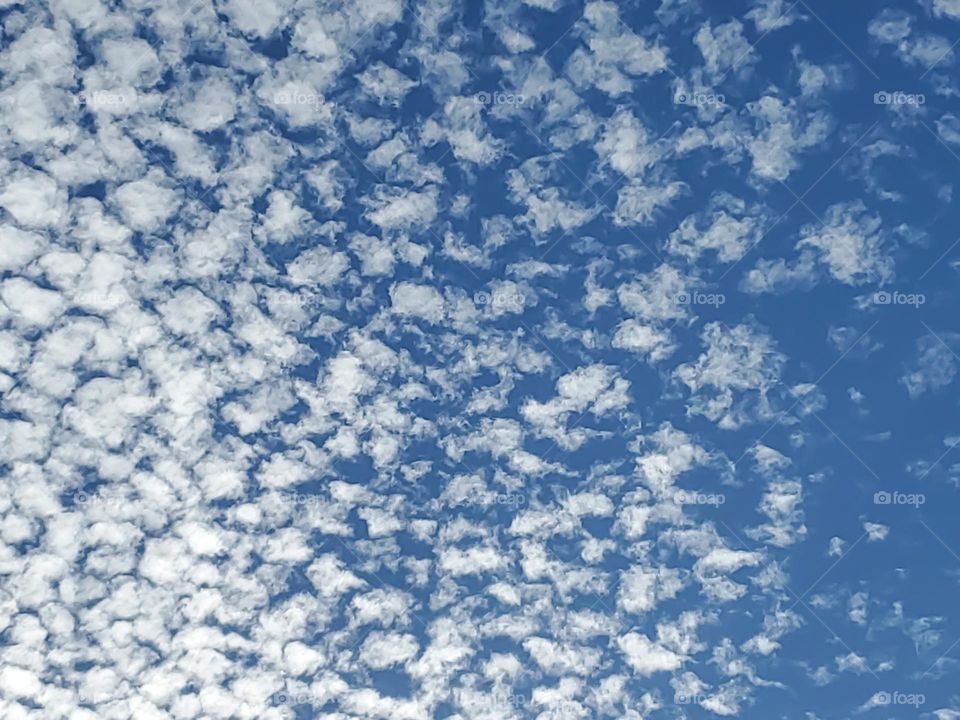 Altocumulus clouds