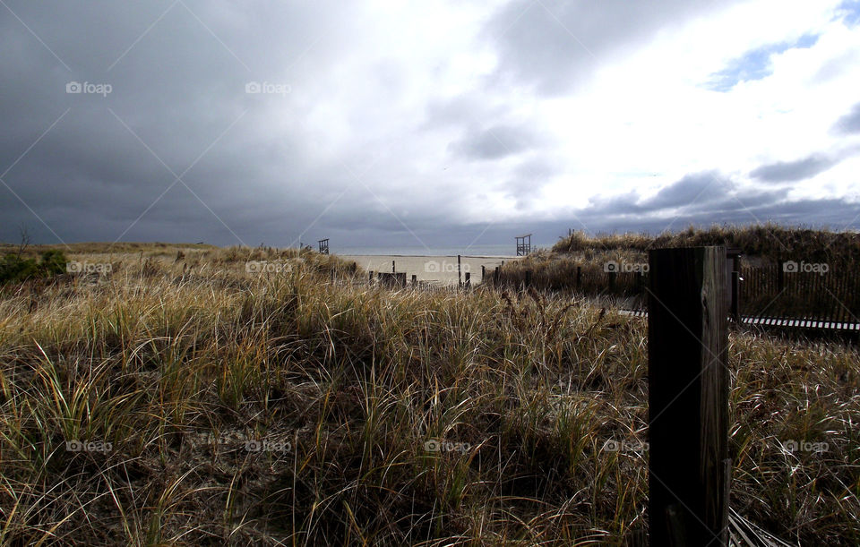 Cloudy dunes. Dunes on beach afternoon