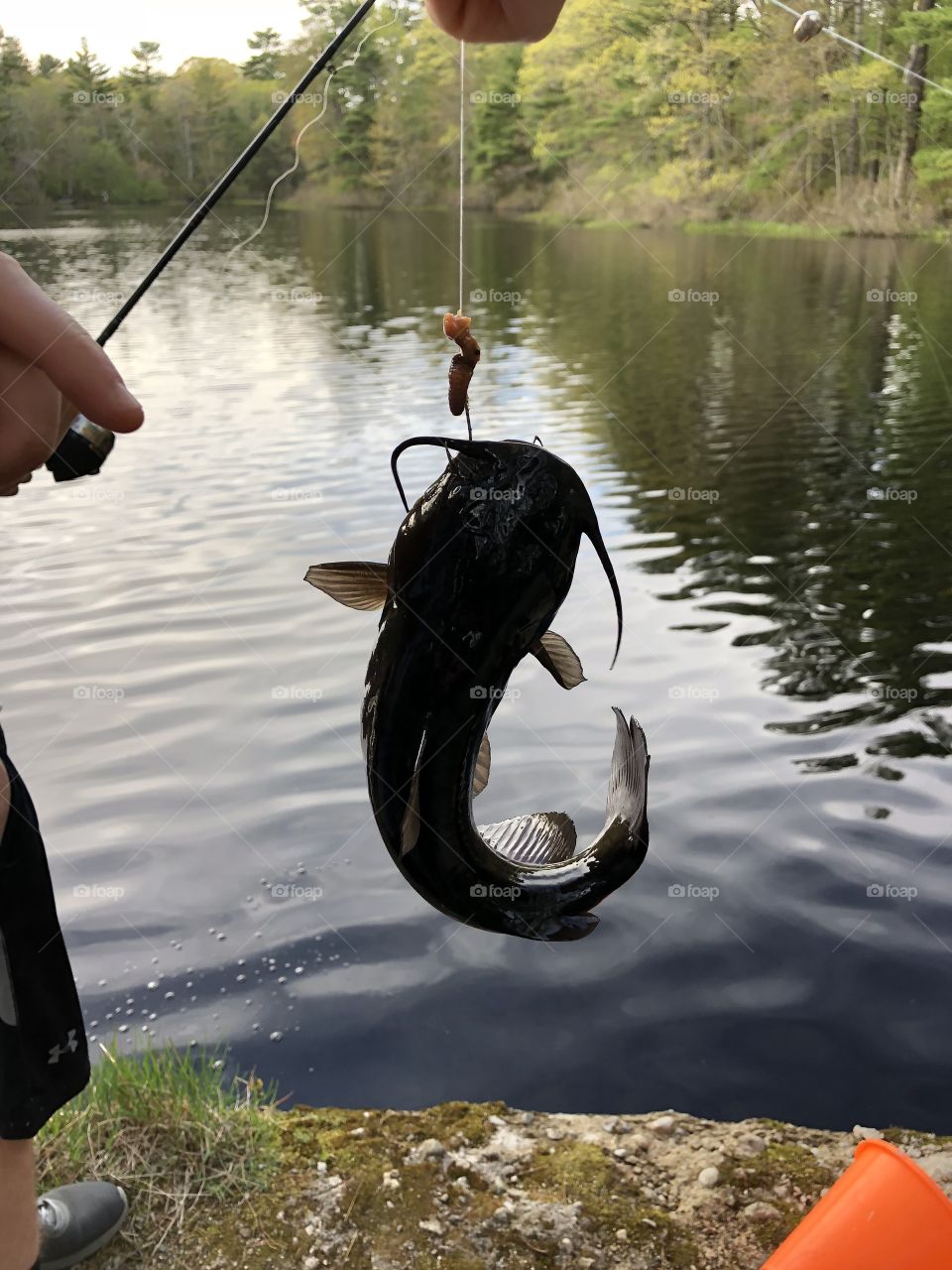 Hooked a catfish 
