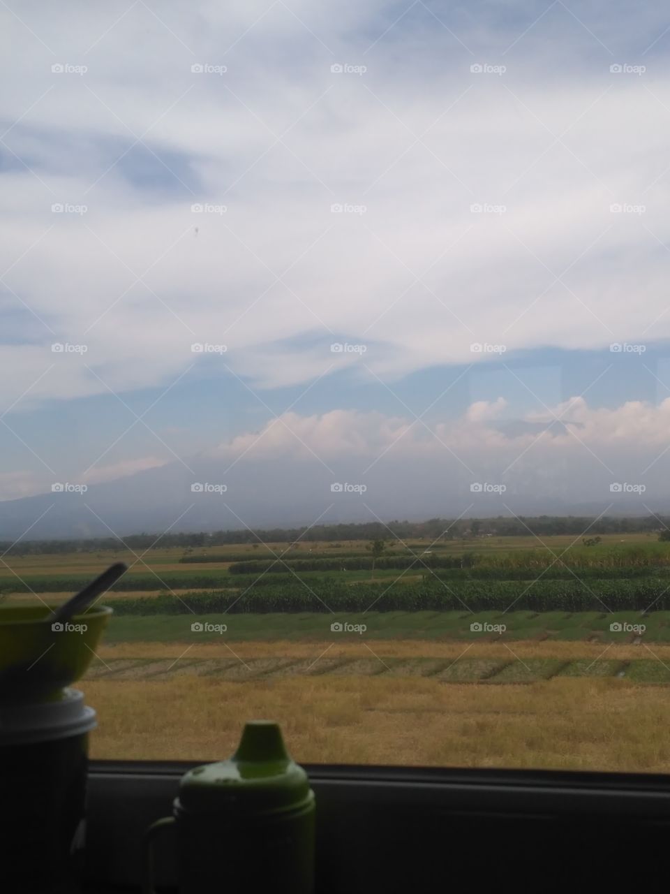 a view from the windows train