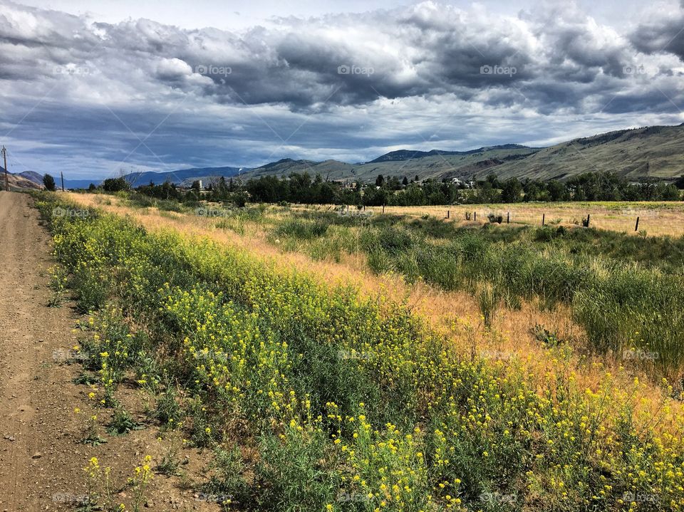 Beautiful summer day 