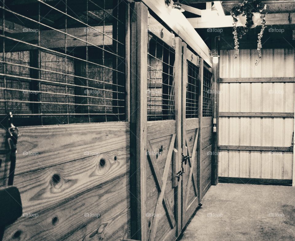 Horse stall door