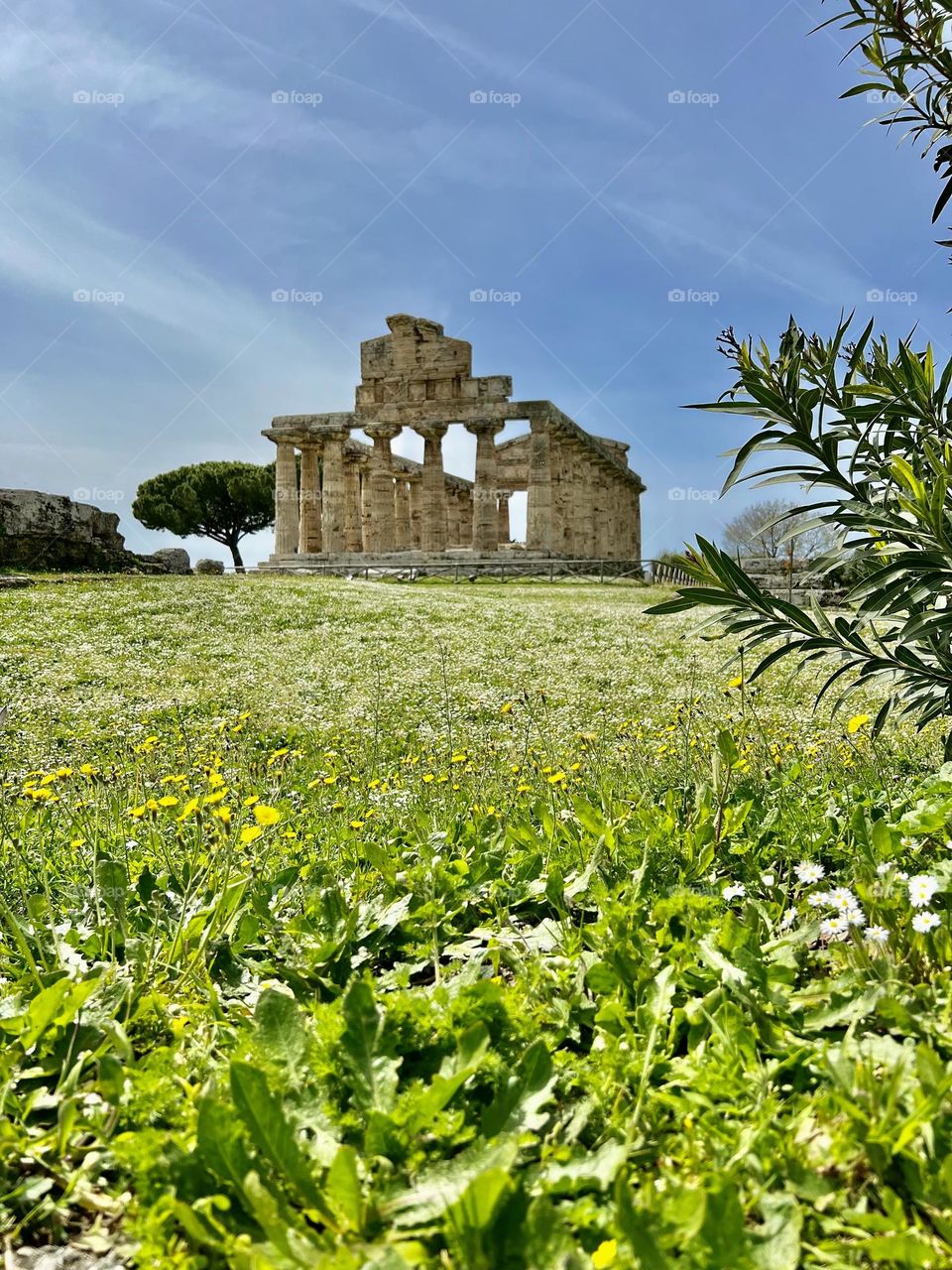 archeological monument in the middle of the nature