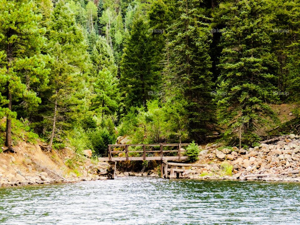 Footbridge over river in forest