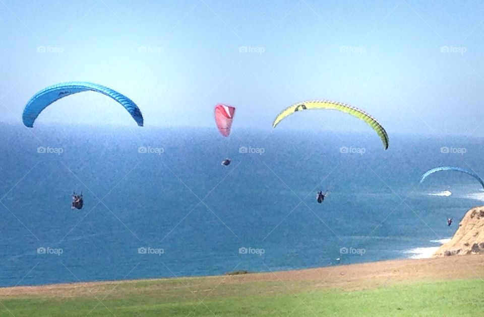 Hang Gliders of La Jolla