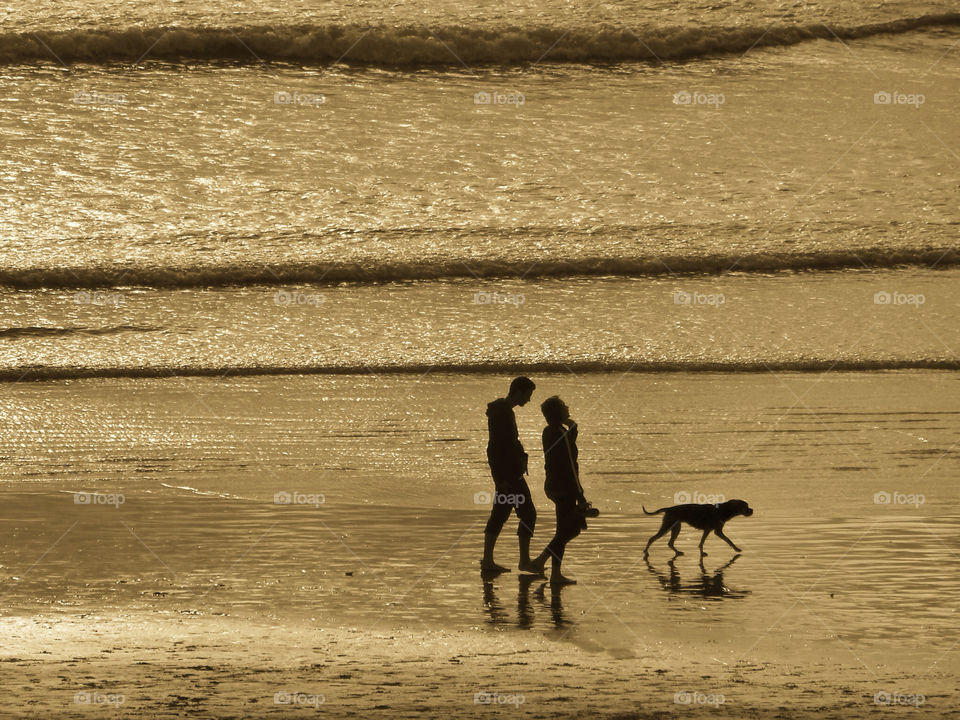 beach ocean people dog by analia